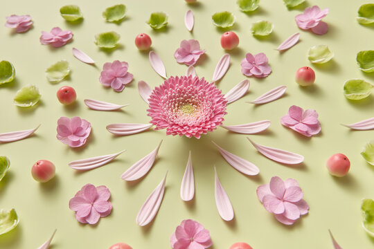 Colorful festive pattern of flowers, leaves and apples