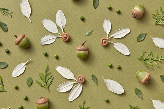 Natural pattern of cedar twig, acorns, buds and white leaves