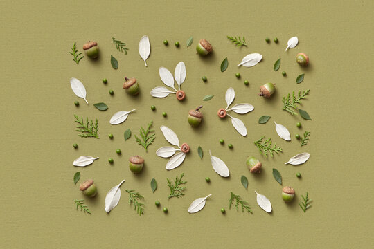 Rectangle made of cedar branches, acorns and white leaves