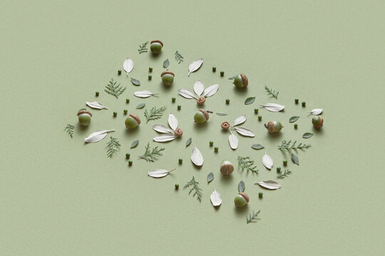Cedar branches, buds, acorns and leaves forming rectangle