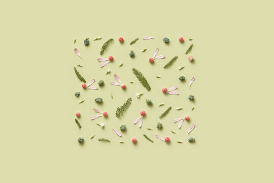 Square shape made of flower petals, paradise apples and leaves