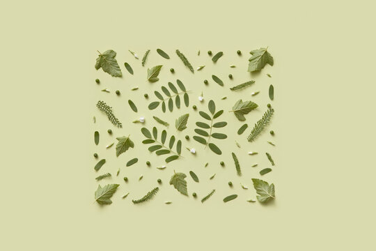 Variety of green tree leaves arranged in square shape
