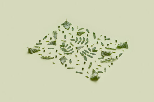 Diagonal composition in rectangle shape made of green leaves