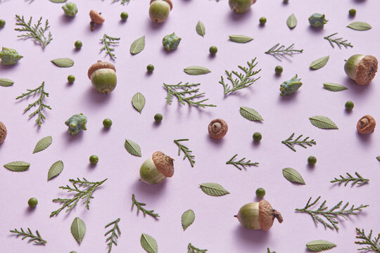 Cedar branches, leaves and acorns creating autumn pattern