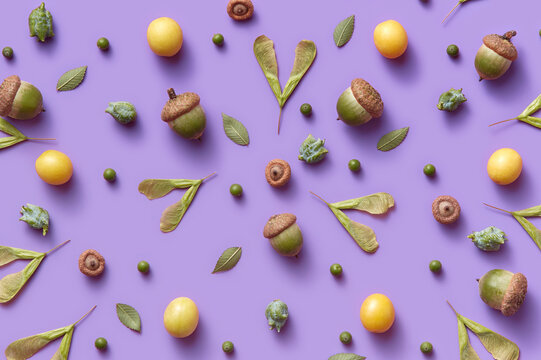 Autumn pattern of green maple seeds, acorns, buds and leaves