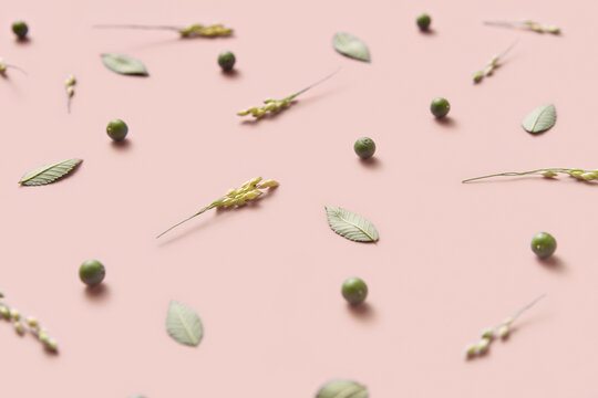 Natural pattern made of green foliage, buds and oat sprigs