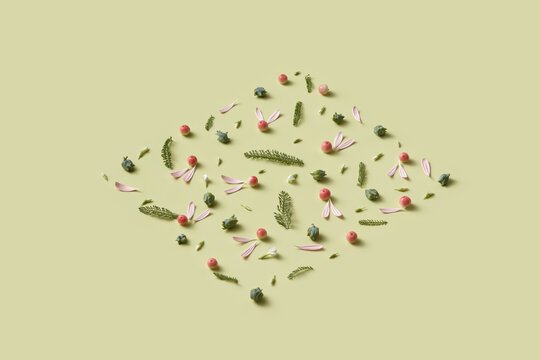 Square shaped composition of petals, apples, buds and leaves