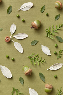 Pattern of cedar branches, acorns, buds and leaves