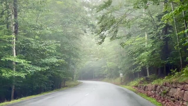 Driving in Acadia National Park in Maine on a foggy day. Point of View (POV) from car on Park Loop Road around the east side of Mount Desert Island.