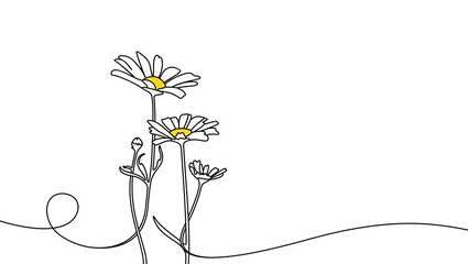 Continuous one line drawing of beautiful wild flowers chamomile graphic design. Single line art illustration of nature landscape with beautiful field meadow flowers daisy on transparent background