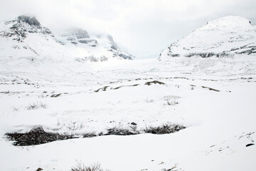 Views surounding the icefield parkway - Columbia icefield - Athabasca glacier - Alberta - Canada