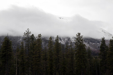 Views from the Wapiti Campground near Jasper - Alberta - Canada
