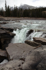Athabasca falls - between Jasper and Lake Louise - Jasper National Park - Alberta - Canada