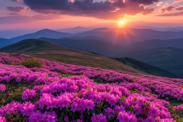 Sunset Glow over Blossoming Mountain Slopes