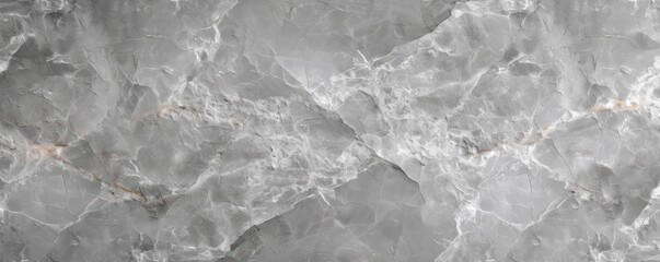 Obraz premium light gray natural stone texture marble