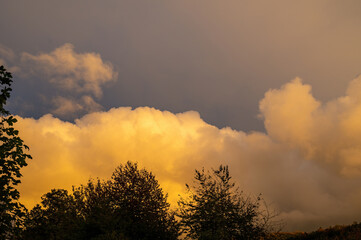Obraz premium Big cloud in the evening light over green forest