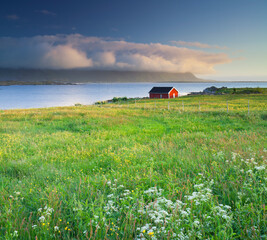 Norwegen, Nordland, Lofoten, Gimsoya, Wiese, Hütte
