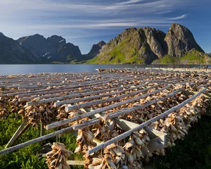 Fototapete Reinefjorden Norwegen, Nordland, Lofoten, Moskenesoya, Reine, Reinefjorden, Hamnoya, Trockenfisch