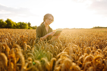 Woman agronomist in a field with a tablet checks the growth of the crop. Agriculture, gardening, business or ecology concept. Growth dynamics.