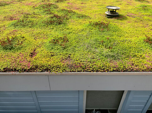houseboat with sedum roof