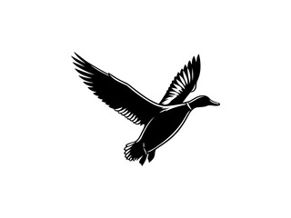 Fototapeta premium Graceful Aquatic Charm: Detailed Duck Vector Art, Infusing Elegance into Your Nature-themed Projects and Home Decor