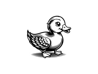 Fototapeta premium Majestic Mallard: Captivating Duck Vector Art, Embellishing Your Designs with Cute Wetland Wildlife