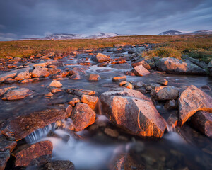 Norwegen, Nordland, Saltfjellet Svartisen Nationalpark, Semskadalen, Fluss Semska