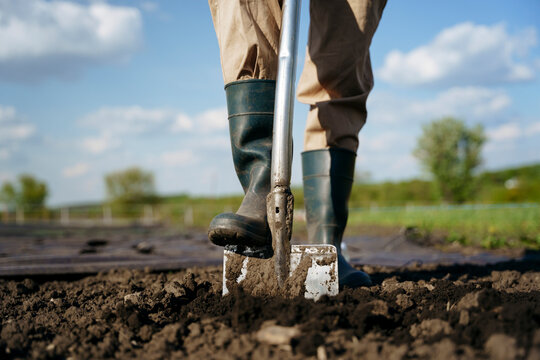 Farmer's feet in rubber boots dig up the ground for planting flo