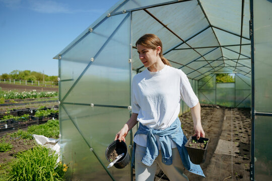 A farmer carries a boxes with seedlings of flowers in his hands