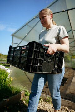 A farmer carries a box with seedlings of flowers in his hands
