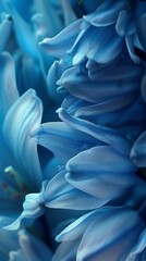 Teal Reverie: Close-ups reveal the crisp teal tones blending seamlessly with wildflower bluebell petals in macro shots.