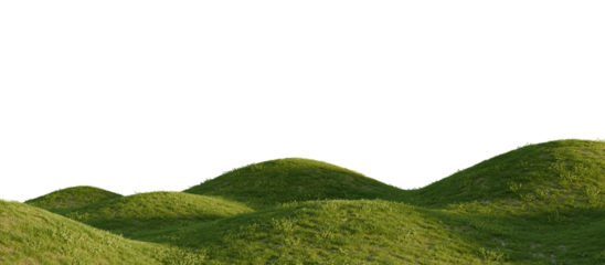 Lush green grassy hills under a clear sky. Transparent background. 3D rendering.