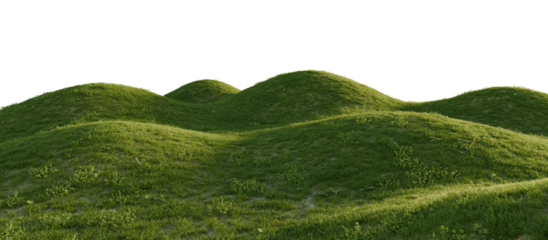 Lush green grassy hills under a clear sky. Transparent background. 3D rendering.