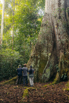 People observing nature