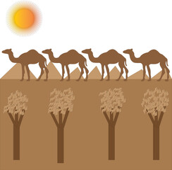 camel in the desert