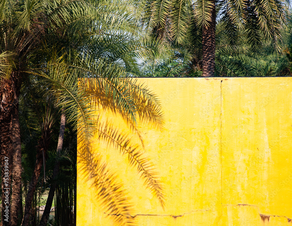 Sticker palm trees and yellow wall with copy space