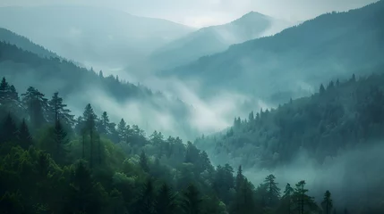 Gardinen Misty valleys shrouded in early morning haze amid pine forests © Muhammad
