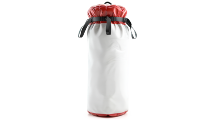 Punching bag isolated on a transparent background