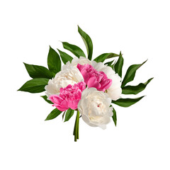 Festive floral arrangement (bouquet) of white and pink peonies isolated on a white background.Element for creating designs, cards, patterns, floral arrangements, frames, wedding cards and invitations.