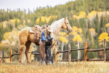 Colorado Cowgirl with a palomino horse and her herding dog in the mountains with colorful aspens in...
