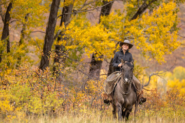 Colorado Cowgirl on a grulla horse in the autumn with cottonwood trees - obrazy, fototapety, plakaty
