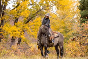 Colorado Cowgirl on a grulla horse in the autumn with cottonwood trees with cowdog - obrazy, fototapety, plakaty