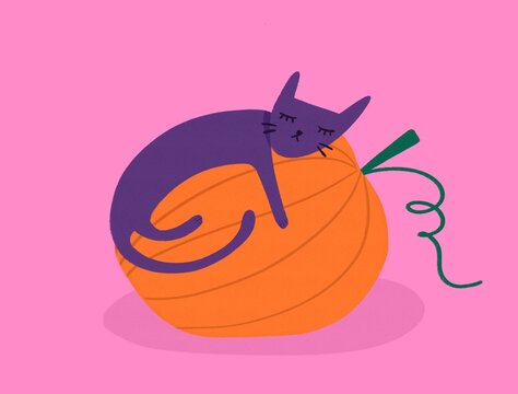 Halloween cat and pumpkin illustration