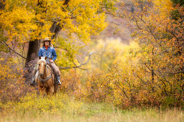 Colorado Cowgirl with a palomino horse and her herding dog in the mountains with colorful aspens in the background - obrazy, fototapety, plakaty