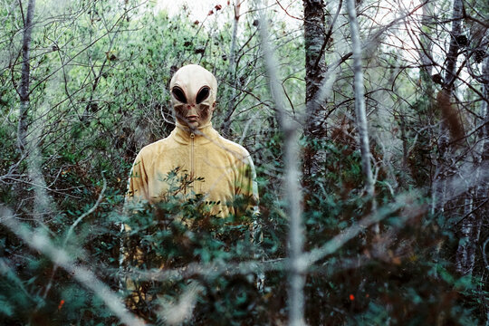 alien stands in the woods, 35mm film