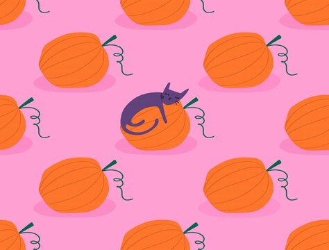 Halloween cat sleeping on a pumpkin patch illustration on pink backgro