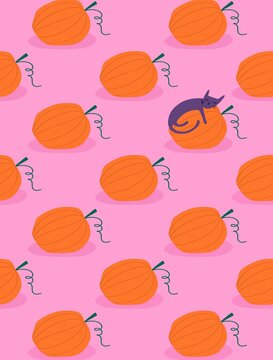 Halloween cat sleeping on a pumpkin patch illustration on pink backgro