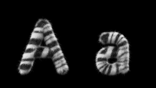 3D animation of a uppercase and lowercase woolen letter A. Wool in the style of the Zebra animal. The file contains an Alpha Channel. ProRes4 RGBA