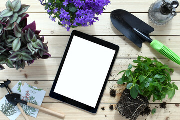 Indoor gardening supplies with computer tablet blank screen, planting green houseplant plants,...