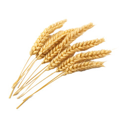 Wheat isolated on transparent background